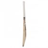 SG Roar LE Grade 2 English Willow Bat