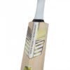SUNNY-LEGEND_4-scaled-600x600 SG Sunny Legend® English Willow grade 1 Cricket Bat