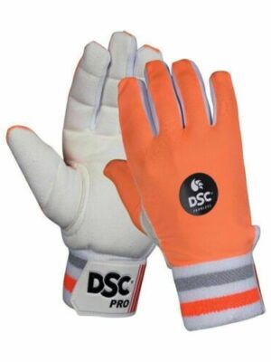 DSC PRO CHAMOIS