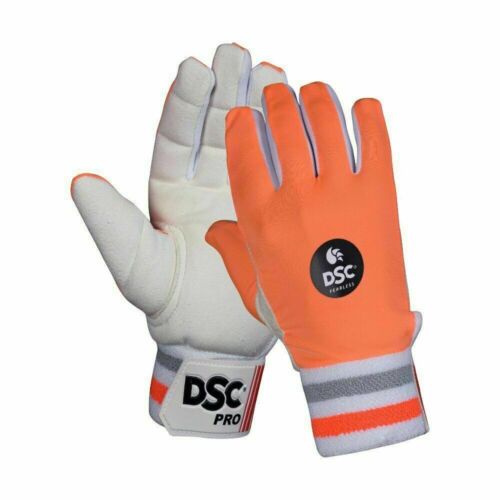 DSC PRO CHAMOIS