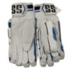1_1-removebg-preview__48361.1655323791 SS Hitech Batting Gloves