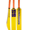 SS Plastic Cricket Bat
