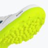 DSC Beamer Cricket Shoes