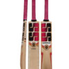 SS Gladiator Kashmir Willow