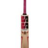 SS Gladiator Kashmir Willow Cricket Bat