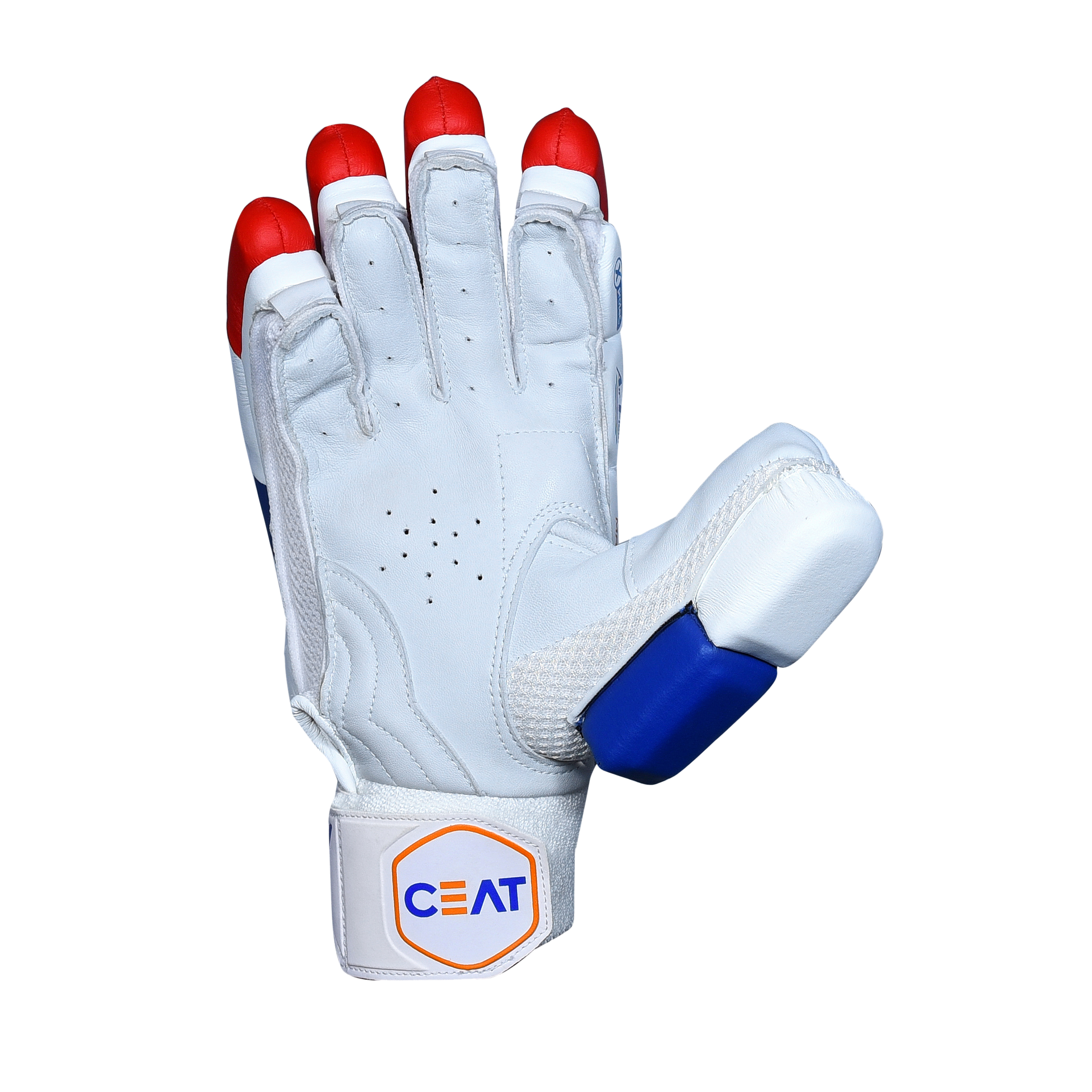 CEAT MAESTRO BATTING GLOVES - 2 CEAT MAESTRO BATTING GLOVES