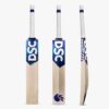 DSC BLU 300 English Willow Bat