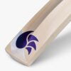 DSC BLU 300 English Willow Bat