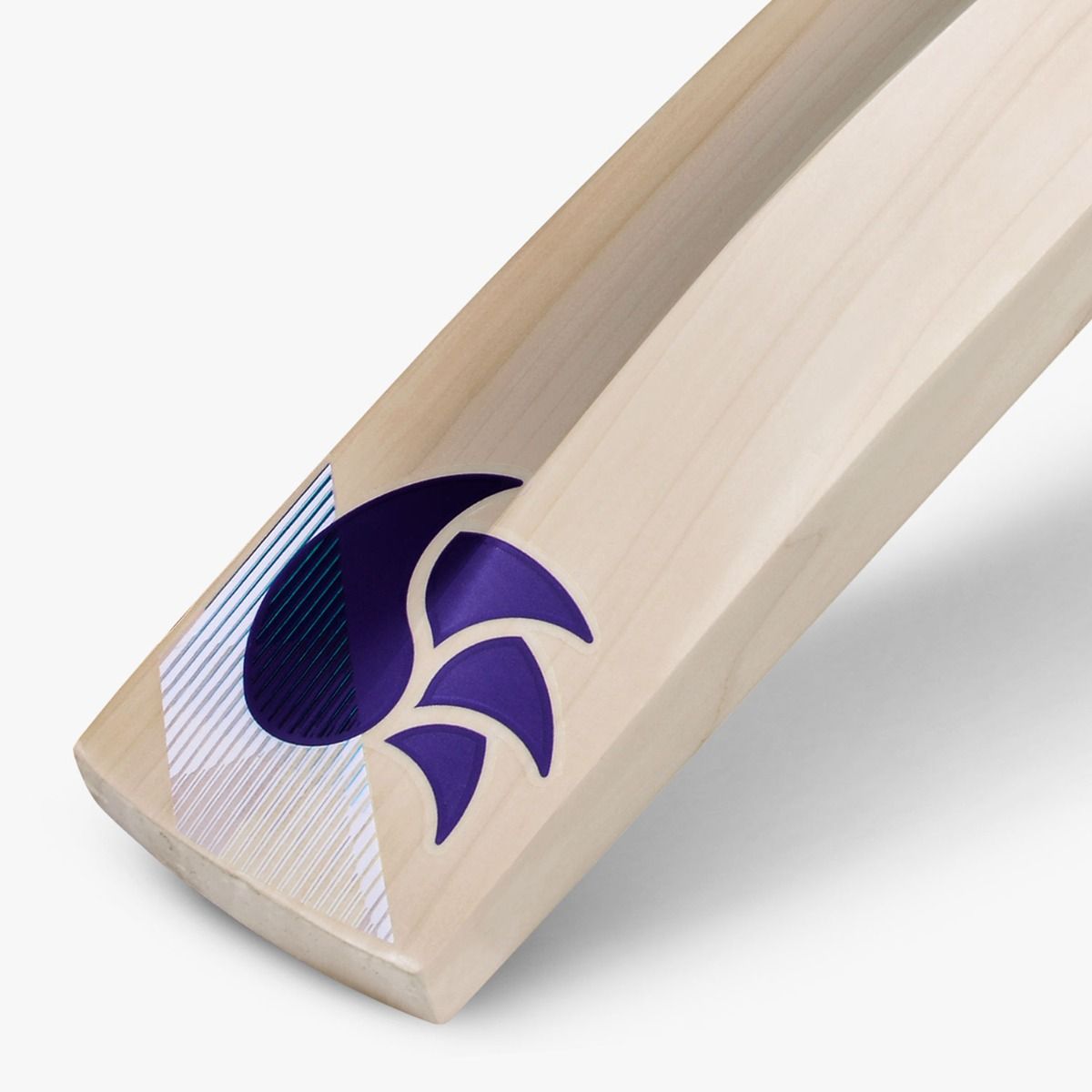 DSC BLU 300 English Willow Bat