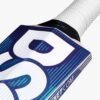 DSC BLU 300 English Willow Bat