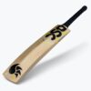 xlite-4.0-english-willow-cricket-bat-1 DSC Xlite 4.0 English Willow Bat
