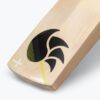 xlite-4.0-english-willow-cricket-bat-5 DSC Xlite 4.0 English Willow Bat