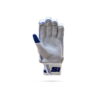 master_0000_Color-Balance-3-800x800.jpg SF SUPERLITE Cricket Batting Gloves