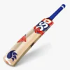 DSC Krunch 66 Kashmir Willow Bat