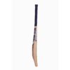 p_3.jpg SS SKY Player Kashmir Willow Cricket Bat