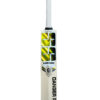 SS Dre Russ Kashmir Willow Cricket Bat