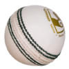 SG Shield 30 White Cricket Leather Ball