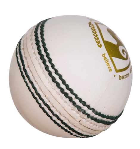 SG Shield 30 White Cricket Leather Ball