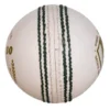 SG Shield 30 White Cricket Leather Ball
