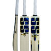 SS Tilak Verma Kashmir Willow Cricket Bat SS Tilak Verma Kashmir Willow Cricket Bat