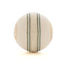 SG Cricket Balls SUPER 50 White