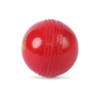 SG Everlast Synthetic Cricket Ball (Red)