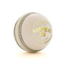 SG Cricket Balls SUPER 50 White