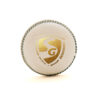 SG Cricket Balls SUPER 50 White