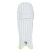 SG Ecolite Cricket Batting Legguard (Batting Pad)