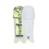 SG Ecolite Cricket Batting Legguard (Batting Pad)