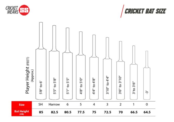 SS Master 8000 English Willow Cricket Bat